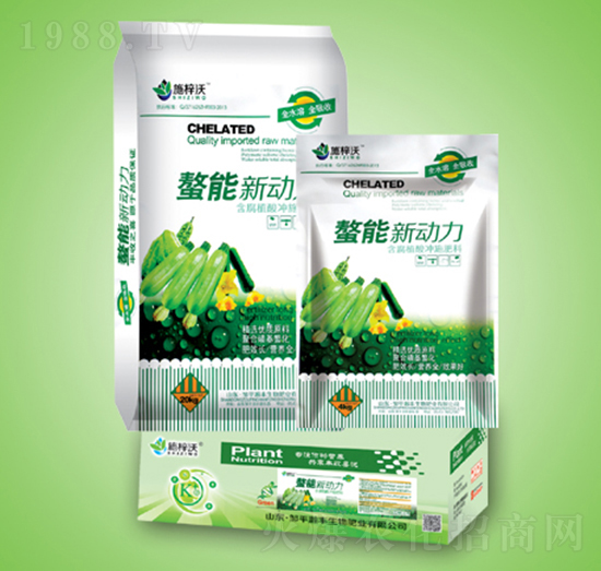 ��������-ʩ����-��S����