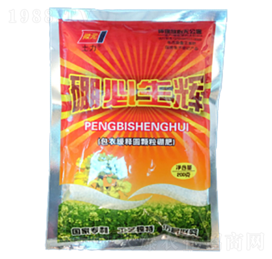 ���¾�ገA�w�����-������x-�����ʘI(y��)