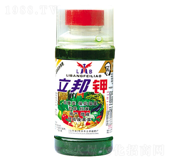 �����-��������