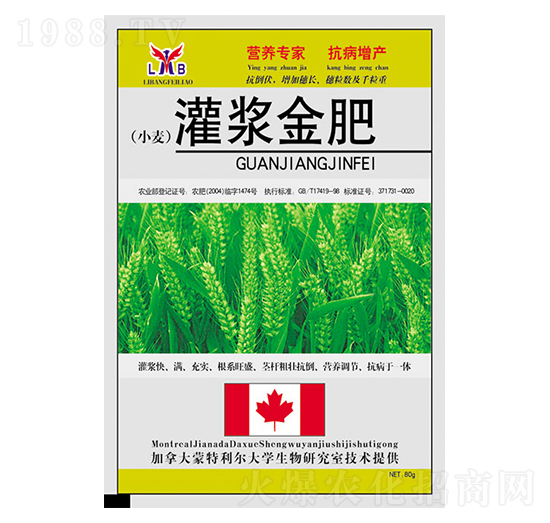 С�����{���-��������