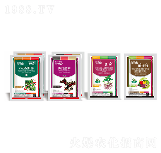 С�˶ꌣ�Ú��x�ײ�-�n�r(n��ng)���W(xu��)