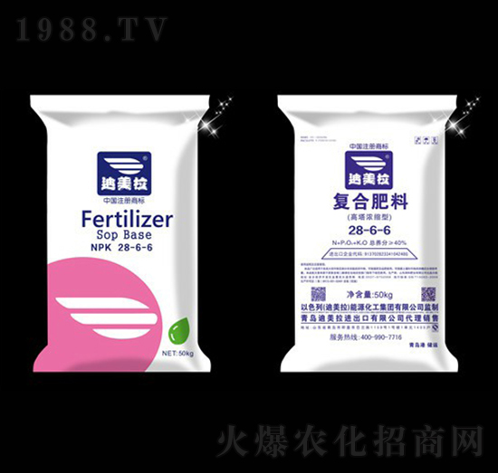 ������s�͏�(f��)�Ϸ���28-6-6-������