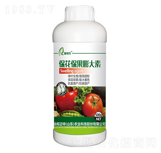 �������������-��ɵ�-���w�~��