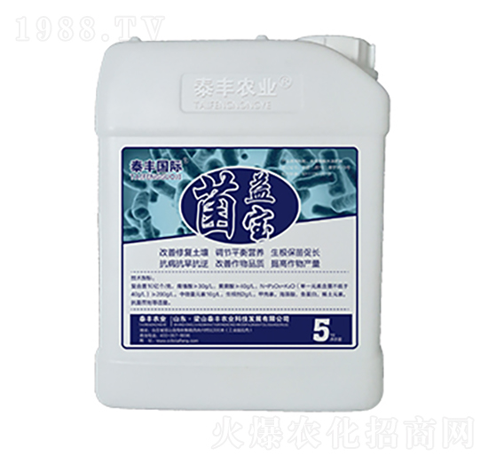 ���挚-��ɽ̩�S