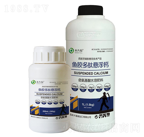 �~�z���đҸ��}-����