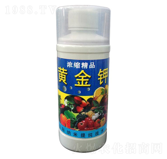 �S���-��ɽ̩�S