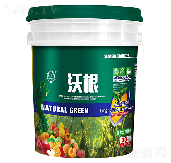 �ָ�-��ɽ̩�S