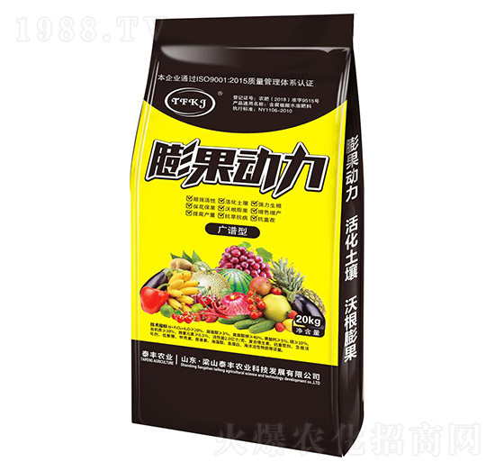 �V�V���������-��ɽ̩�S