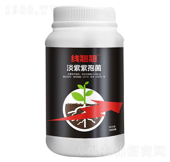 �������߾�-���N�N-��(��i)���_(d��)