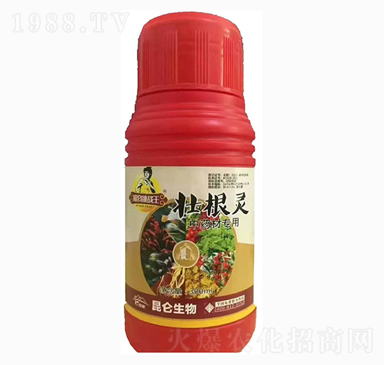 ��ˎ�ĉѸ��`-�����_