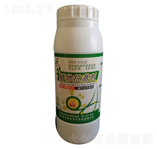 ֲ�￹��-���I(y��)