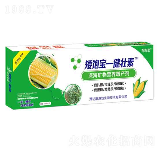 ���-������-������