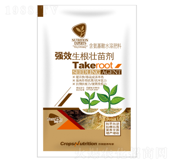 �������焩-�|���S