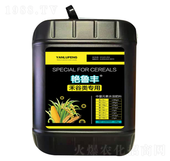 �G���S���̹���ã�-���_����