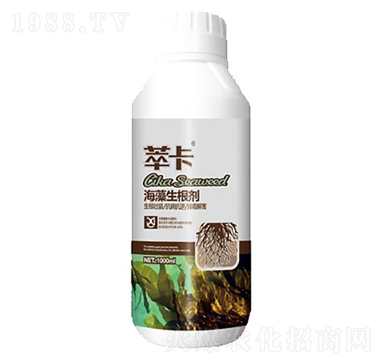 1000ml����������-�Ϳ�-���S��