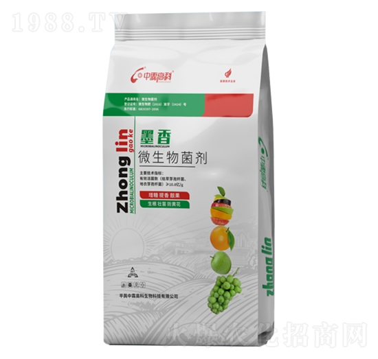 ΢�������-ī��-���ظ߿�