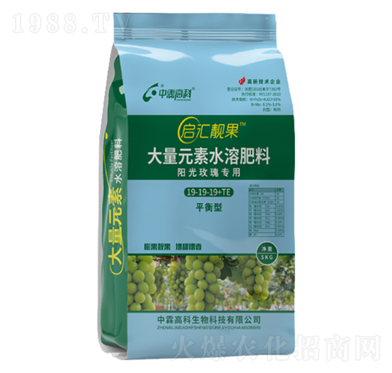 ꖹ�õ�匣��ƽ���19-19-19+TE-���R�n��-���ظ߿�