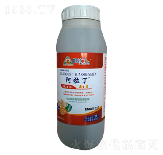 ����ԭ����-������