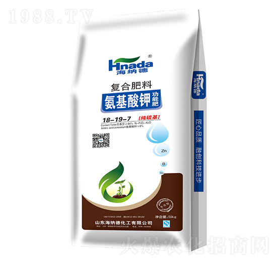 ������⛹��ܷʏͺϷ�18-19-7-���{��