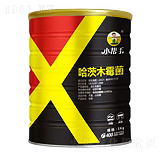 ����ľù��-����������