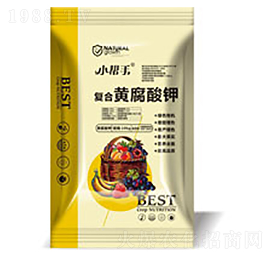 �ͺ��S�����-����������