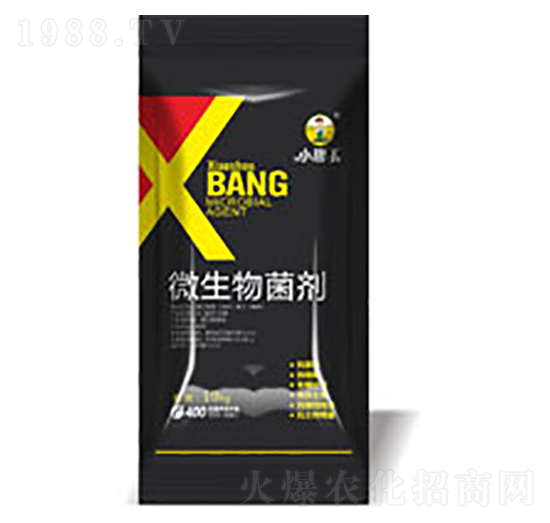 ΢�������-����������