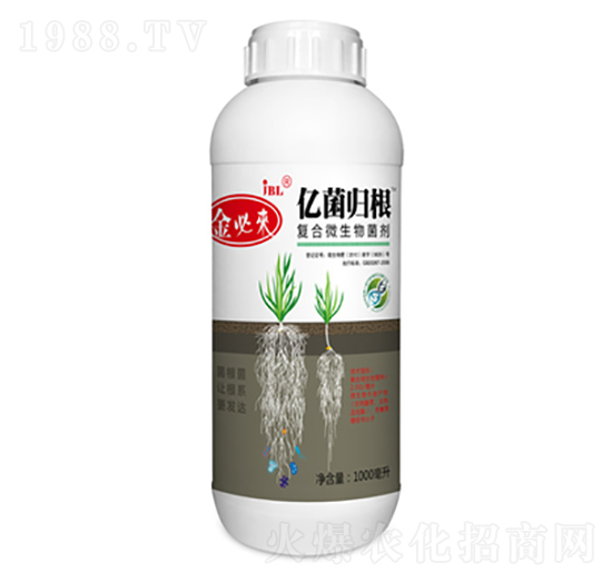 ��(f��)��΢�������-�|���w��-��؁�����