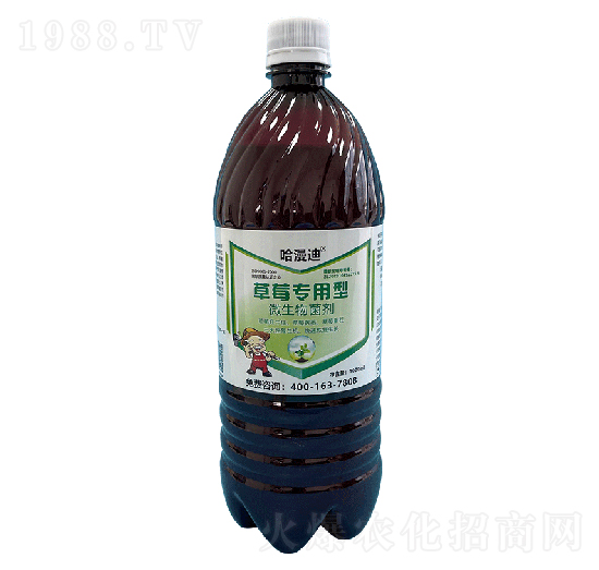 ��ݮ��(zhu��n)����΢�������-�ο�ֲ��