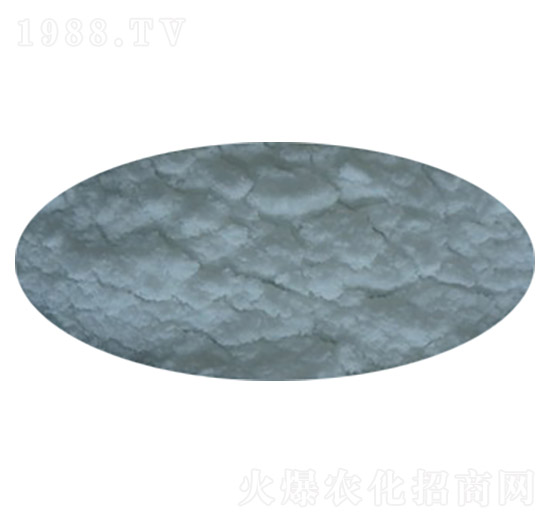 �����@��ĩ�������Ἁ(j��)��-ʢ��ʘI(y��)