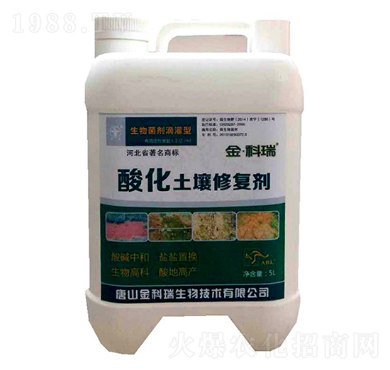 �ữ�����ޏ̈́�-�����