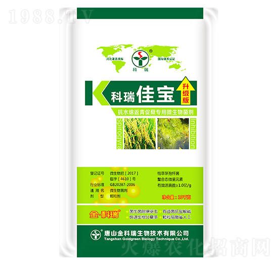 ����ь�-�����