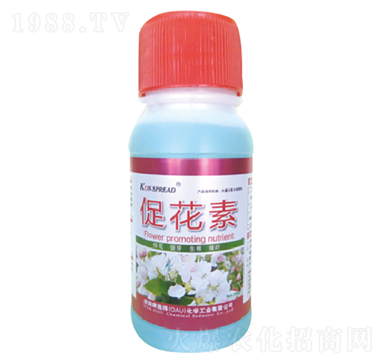 �ٻ���-��ʩ��