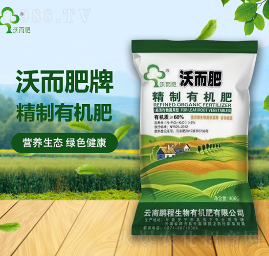 �����ЙC(j��)��-�ֶ���-�i������