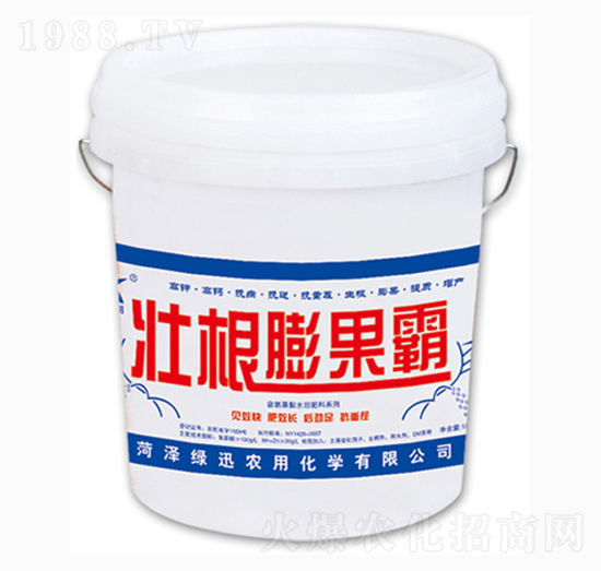 �Ѹ������-�GѸ