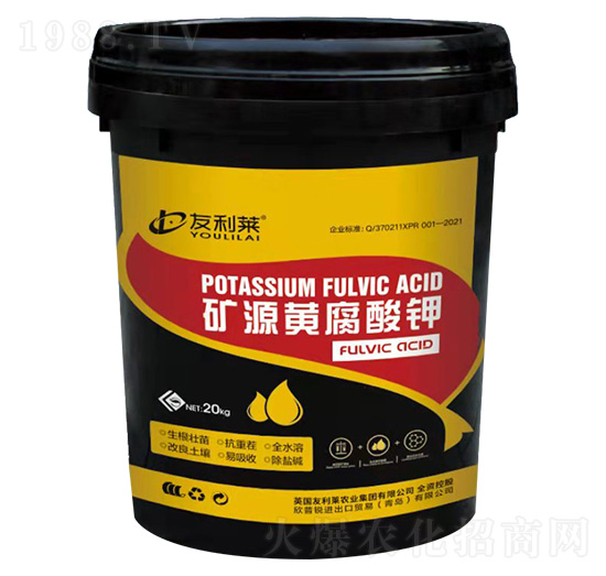 �VԴ�S�����-�����R