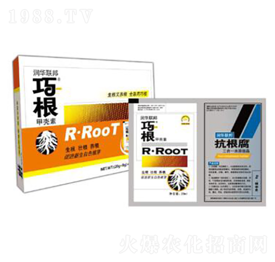 �ɸ�+������-��(r��n)�A(li��n)��