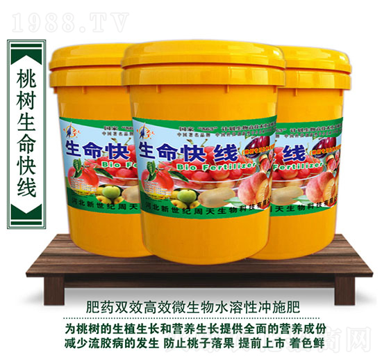 �Ҙ������쾀�_ʩ��-��������