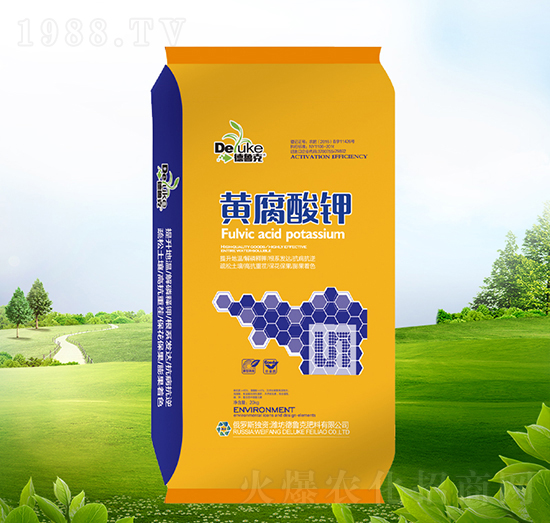 �S�����-������