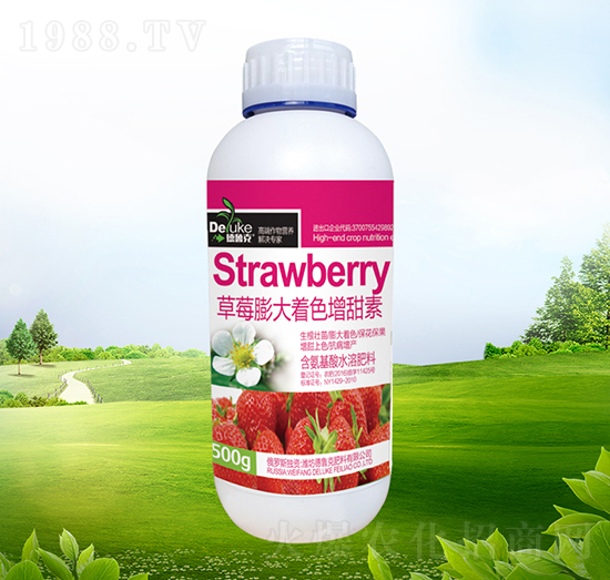 ��ݮ�����ɫ������-������