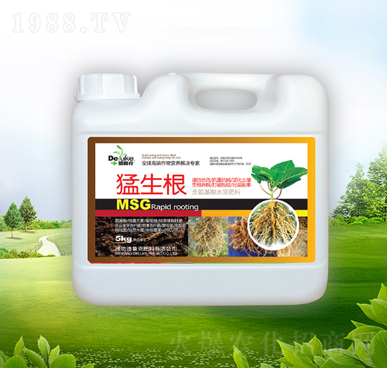 ������-������