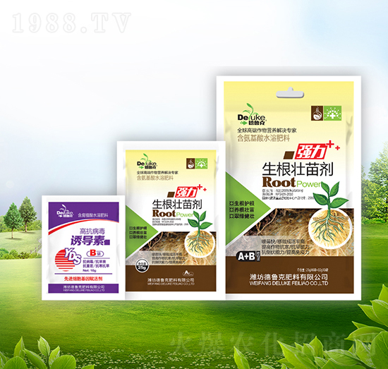 �������焩+�T����-������