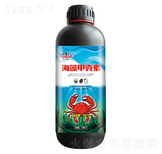 ����ך���-ɽ�|�������