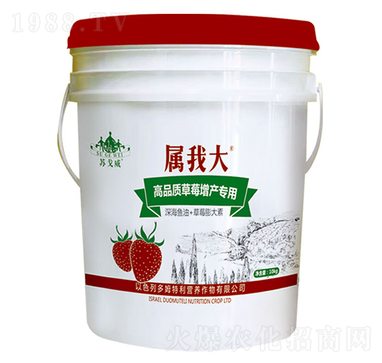 ��Ʒ�|(zh��)��ݮ���a(ch��n)��(zhu��n)�÷�-���Ҵ�-ɽ�|�������