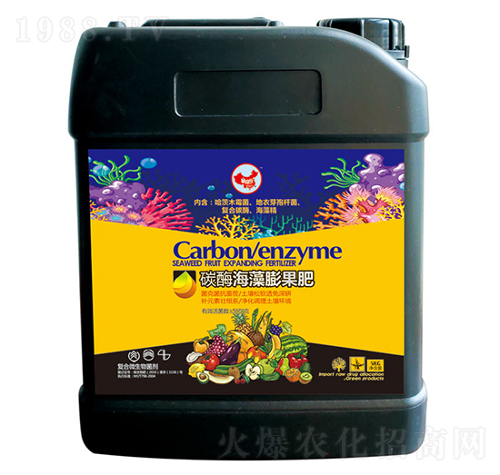 ̼ø���������-ɽ�|�������