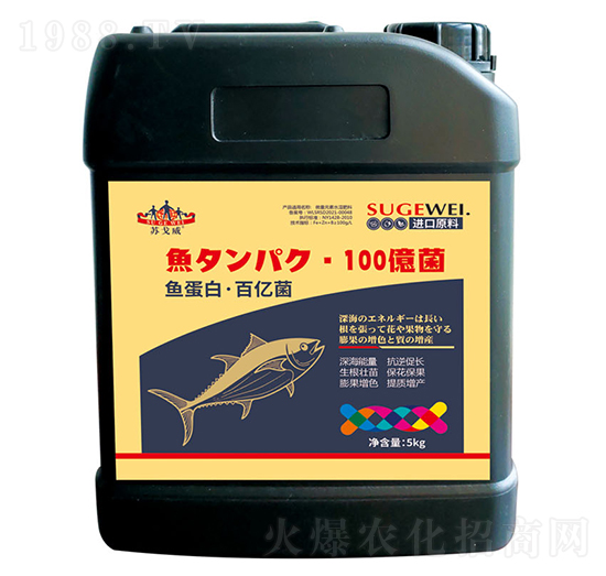 �~(y��)���ס��ك|��-ɽ�|�������