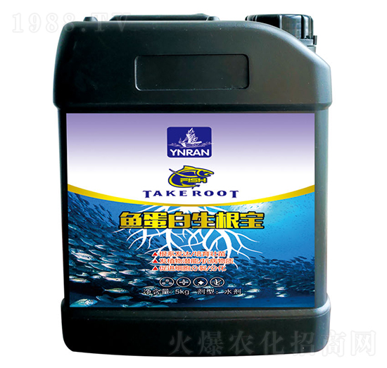 �~����������-ɽ�|�������