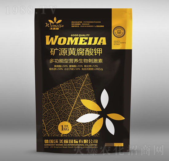 �VԴ�S�����-������