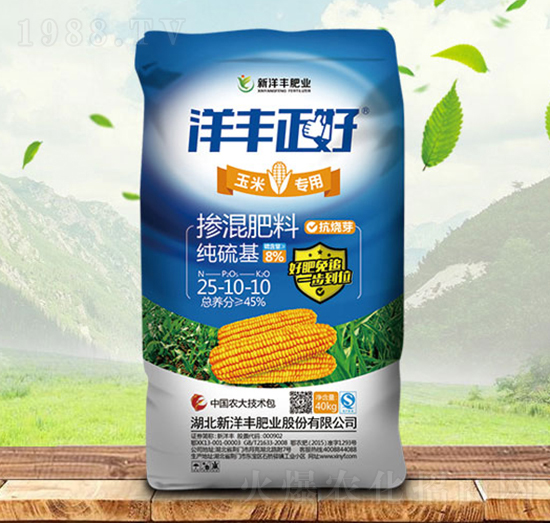 ���׌�(zhu��n)�Ó������25-10-10-���S����-���(sh��)�r(n��ng)�Y