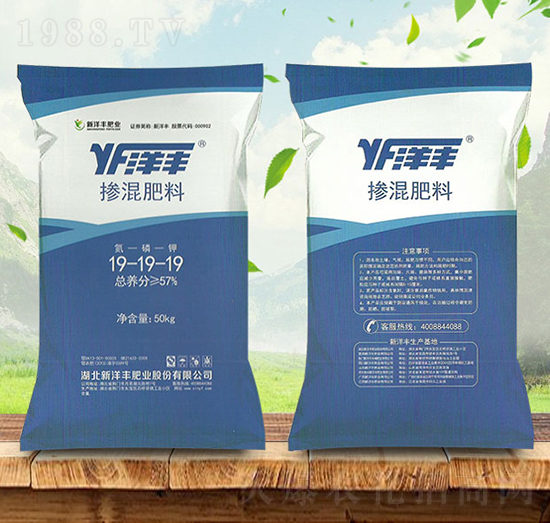 �������19-19-19-���S-���(sh��)�r(n��ng)�Y