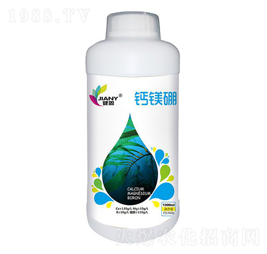 ��ӯ���}�V��-��ٝ